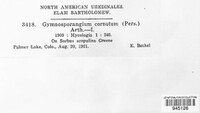 Gymnosporangium cornutum image